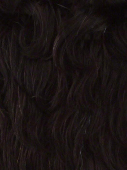 Chilli | Synthetic Lace Front Wig (Basic Cap)